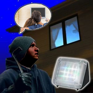TV Simulator| Ingebouwde timer | Zwart